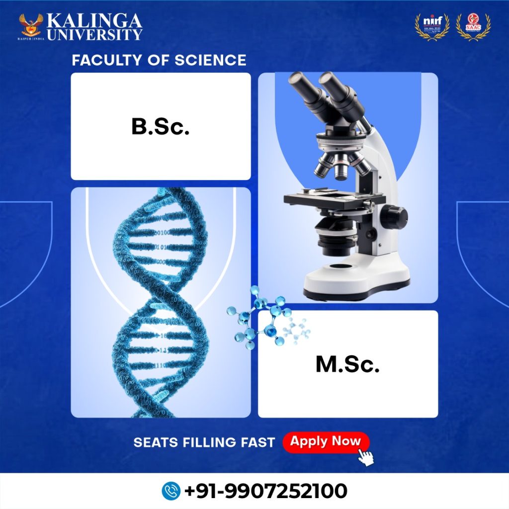 Advertisement 3